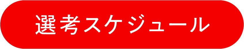 選考スケジュール