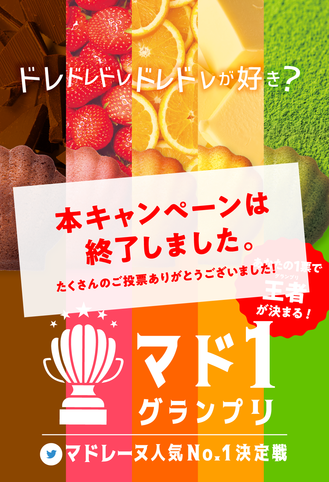 本キャンペーンは修終了しました。たくさんのご投票ありがとうございました!