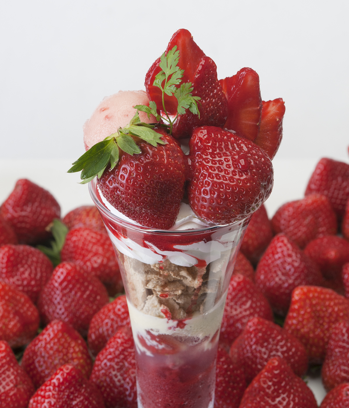 クリスマスご予約特典キャンペーン