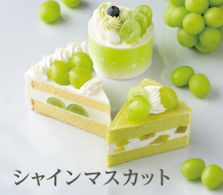 バナー画像